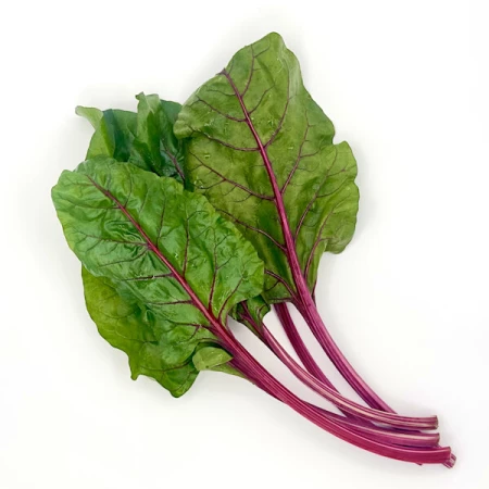 Мангольд, зеленый