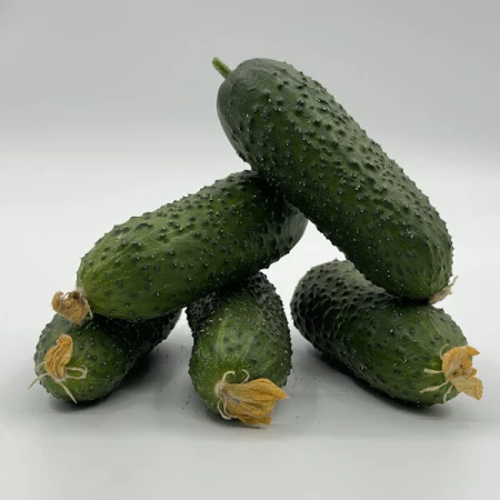 Огурцы пупырчатые, Чечня