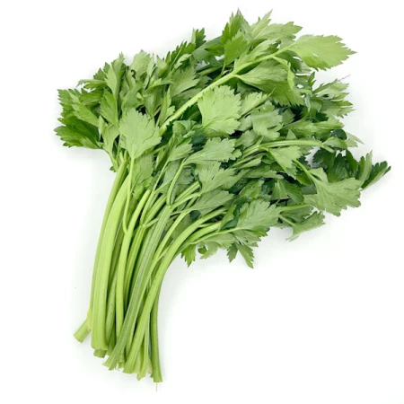 Сельдерей, Краснодар