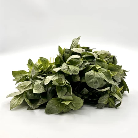 Зеленый базилик 