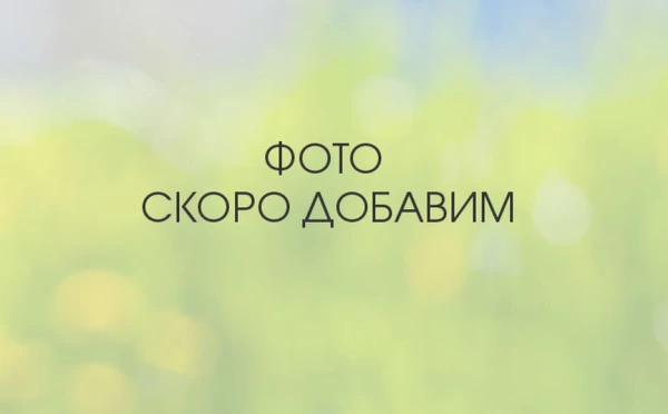 Дзимму