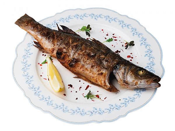 Сибас