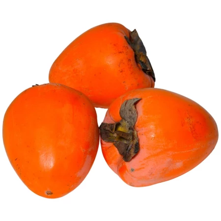 Хурма "Шарон" Азербайджан