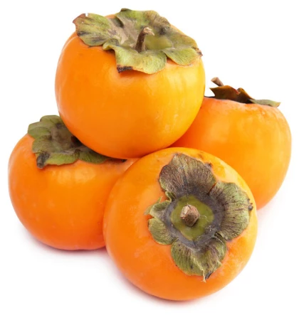 Хурма "Королек" Ташкент