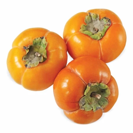 Хурма "Лепешка" Ташкент