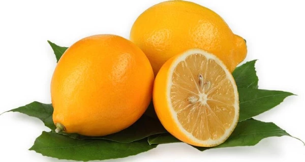 Лимон "Ташкентское"