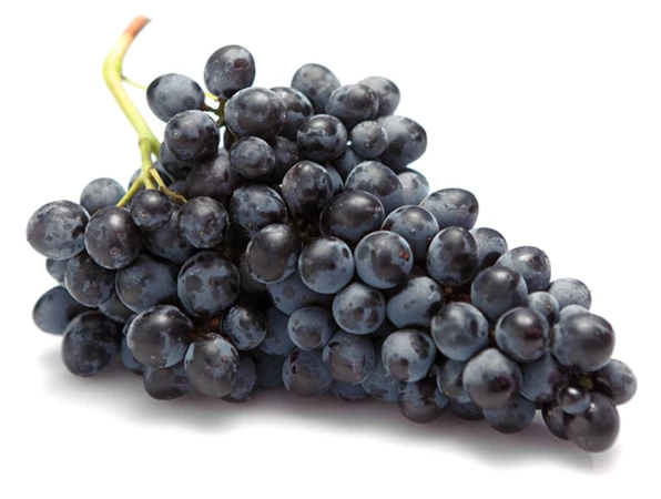 Виноград "Кишмиш черный"