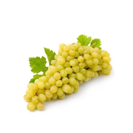 Виноград "Кишмиш зеленый"