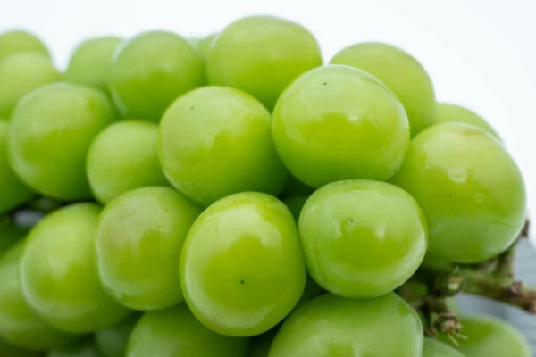 Виноград "Китайский ранний"