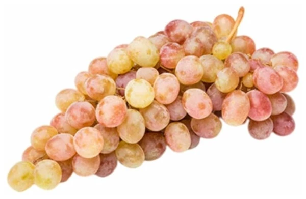 Виноград "Тайфи"