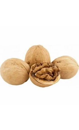 Грецкий орех, неочищенный (Узбекистан)
