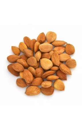 Ядро урюка (Узбекистан)