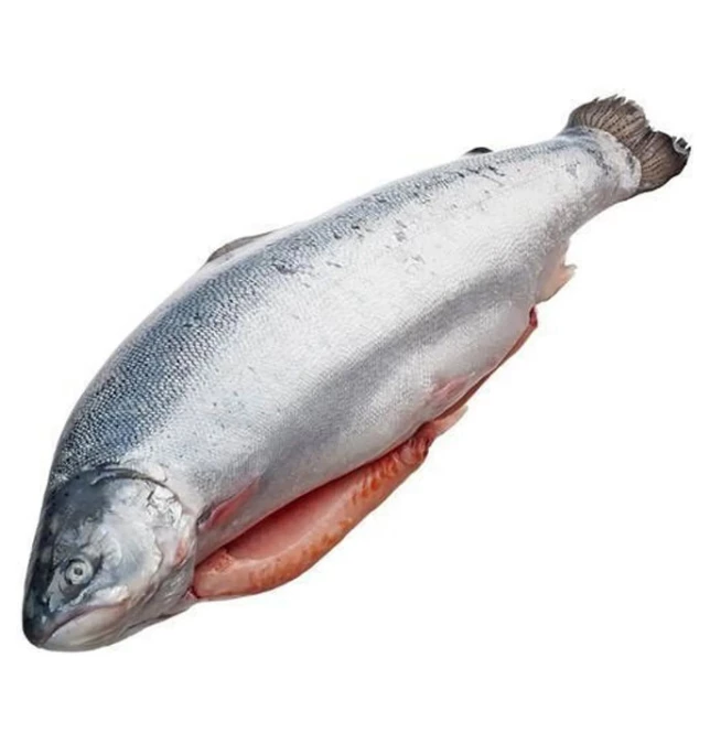 Лосось с/м (6-7)