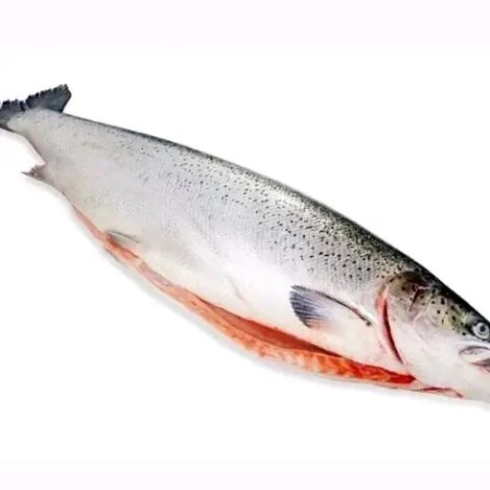 Лосось с/м (7-8) 