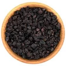 Барбарис черный