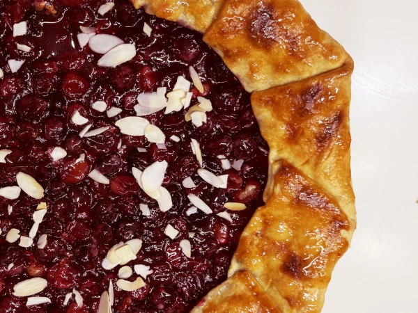 Кусочек галеты с клюквой и ежевикой