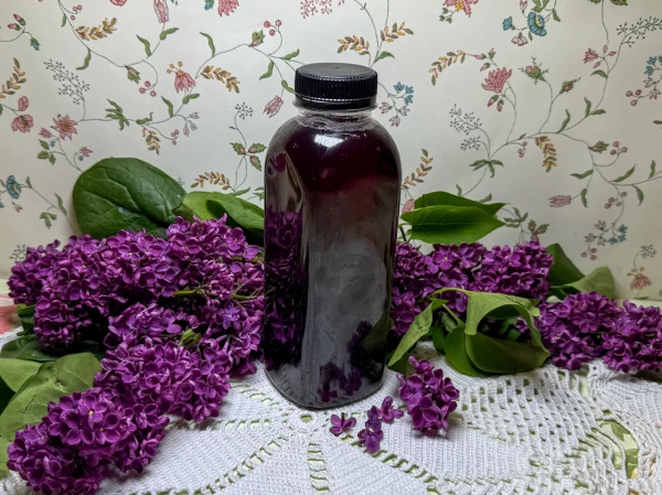Айс-ти анчан с вишней и корицей, 0,5 л