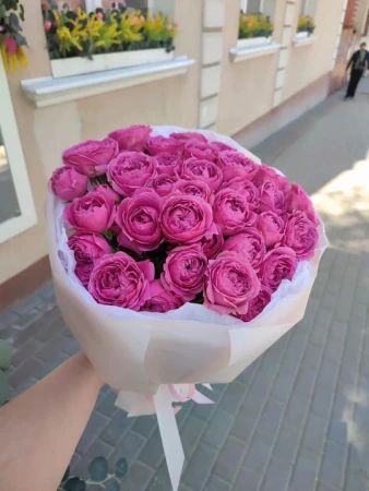 Мисти