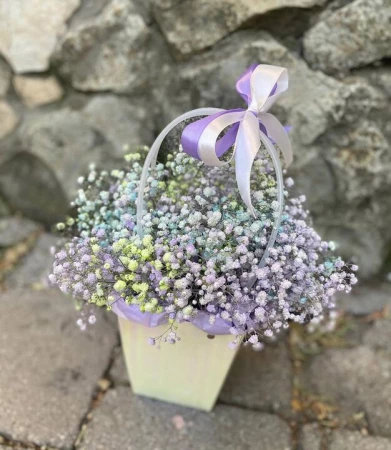 Сумочка с гипсофилой