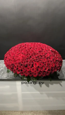 301 красная роза в плетеной корзине