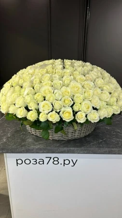 301 белая роза в плетеной корзине
