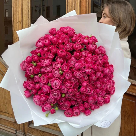 51 веточка малиновых пионовидных кустовых роз в упаковке