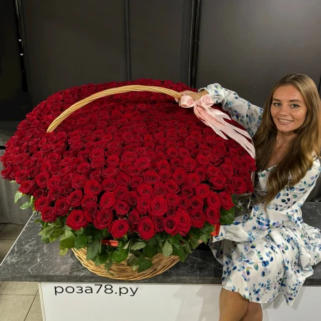 501 роза в плетеной корзине