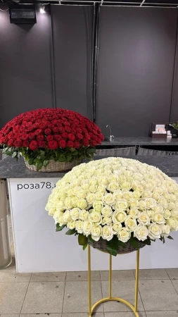 301 роза в плетеной корзине