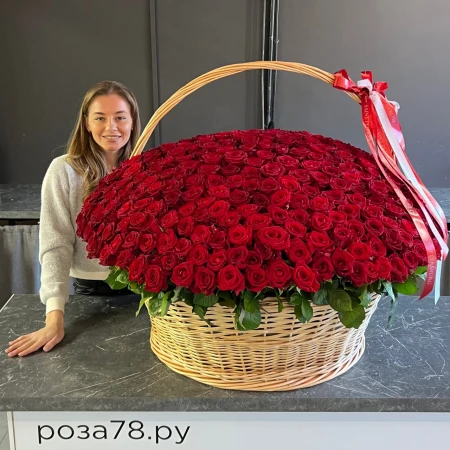 351 красная роза в плетеной корзине