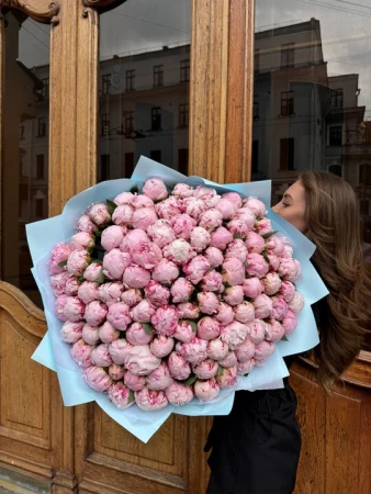 101 пион Сара Бернар в упаковке