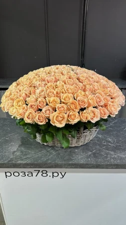 251 персиковая роза в корзине