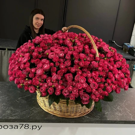 351 ветка малиновых пионовидных кустовых роз в корзине