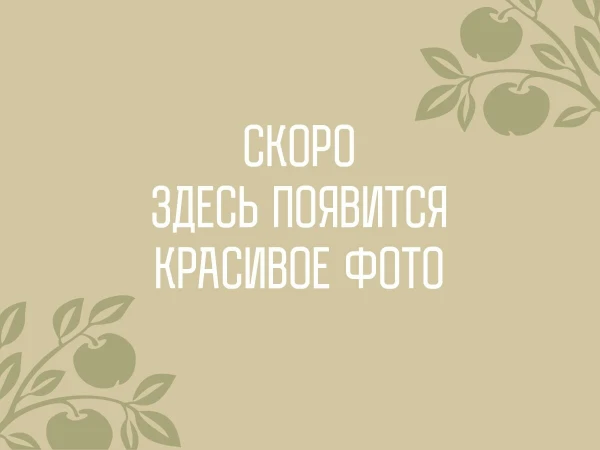 Медовик с ванильным мороженым и клубникой