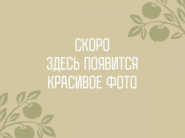 Паштет из куриной печени с фундуком