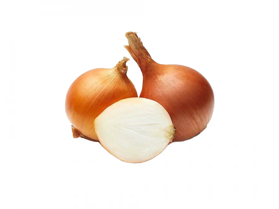 Лук репчатый 