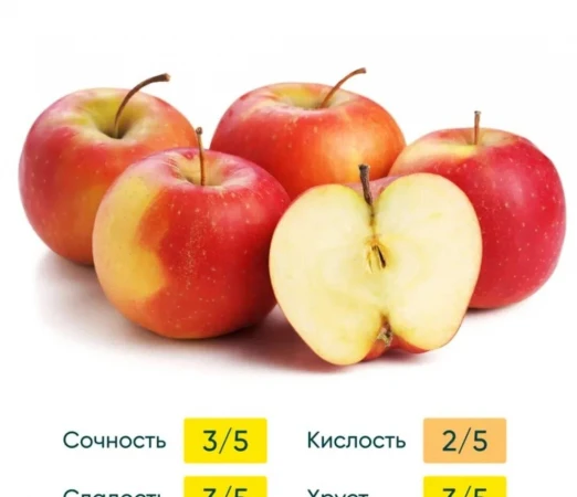 яблоки сезоны